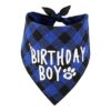 Birthday Bandana for Dogs with "Birthday Boy" Print in Blue Plaid