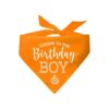 Birthday Boy Cupcake Printed Dog Bandana Assorted Colors for Dogs