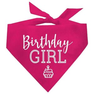 Birthday Girl with Cupcake Dog Pawdy Celebration Print Bandana in Pink