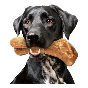 Bitemark Bone Dog Chew Toy for Medium Large Breed Dogs with Beef Flavor