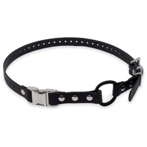 Black Biothane Dog Collar with Comfort Bungee Loop for Adjustable Fit