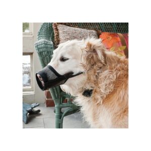 Black Bucks Synthetic Dog Muzzle Small Size