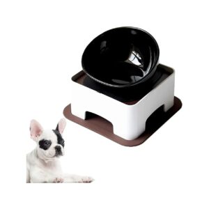 Black Ceramic Pet Dish for Dogs and Cats with Anti Slip Bottom and Easy Cleaning Design