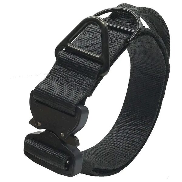 Black Cobrac Buckle Dog Collar for Large and X-Large Dogs with Adjustable Neck Sizes