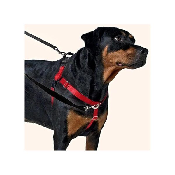 Black Dog Harness with Leash Training Package for Medium-Sized Dogs, Patented Action Loop