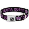 Black Fuchsia Dog Collar with 0 Inch Wide Seatbelt Buckle for Medium Dogs