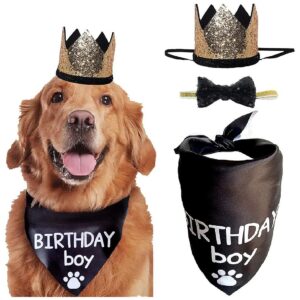 Black Gold Pet Crown and Bow Tie Collar Set for Dog and Cat Birthday Party Supplies