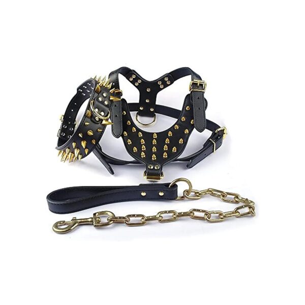 Black Golden Rivet Leather Dog Collar and Matching Harness for Large Pitbull Boxers