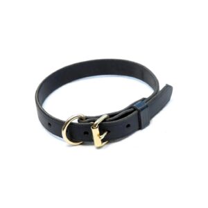 Black Leather Dog Collar with Adjustable Holes and Durable Leather Construction