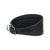 Black Leather Extra Wide Padded Tapered Dog Collar for Long Neck Breeds