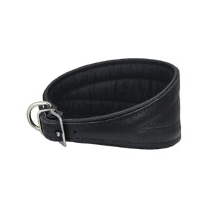 Black Leather Extra Wide Padded Tapered Dog Collar for Long Neck Breeds