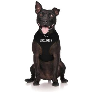 Black Medium Waterproof Padded Dog Harness with Caution Wording and No Dogs Warning