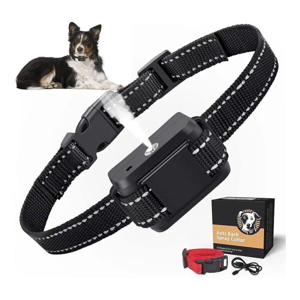 Black Nylon Adjustable Dog Training Collar with Electric Cit