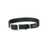 Black Nylon Single-Ply Dog Collar with Durable Anodized Aluminum Dee and Buckle