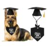 Black Polyester Graduation Cap with Yellow Tassel and Class of Pet Bandana for Dogs