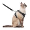 Black Solid Cat Harness for Small to Medium Cats with Adjustable 4 Straps for Comfort