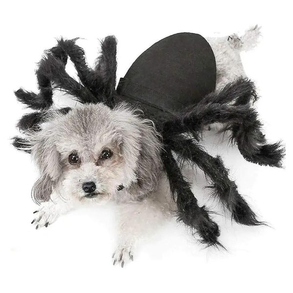 Black Spider Costume for Small Dogs and Cats Halloween Party Decoration