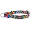 Blackbird Medium Premium No Slip Martingale Collar for Whippets Greyhounds and More