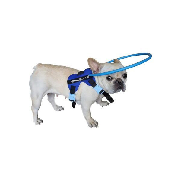 Blind Dog Guiding Device with Soft Knitted Fabric and EVA for Protective Anti-Collision