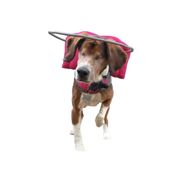 Blind Dog Halo Collar for Safe Navigation and Confidence Boost in Pink Size 6