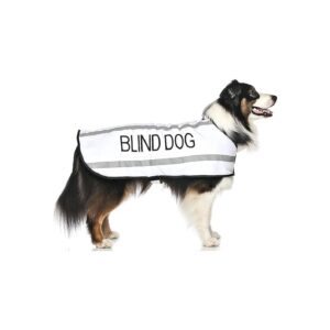 Blind Dog Safety Coat Waterproof Reflective Fleece Lined Prevents Accidents in Public