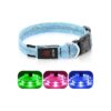 Blue Adjustable LED Dog Collar with Rechargeable Lights for Night Walking Medium Dogs