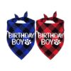 Blue And Black Plaid Dog Birthday Bandana Birthday Boy Scarf For Dogs