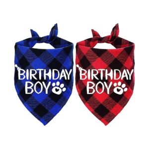 Blue And Black Plaid Dog Birthday Bandana Birthday Boy Scarf For Dogs