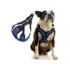 Blue Breathable Mesh Dog Harness for Small and Medium Dogs with Choke Free Design