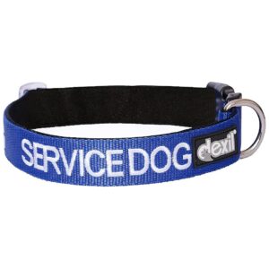 Blue Coded Adjustable Nylon Dog Collar 10-17 Inch Prevents Accidents