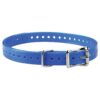 Blue Collar Strap for Outdoor Adventures with Dogs and Garmin