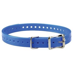 Blue Collar Strap for Outdoor Adventures with Dogs and Garmin