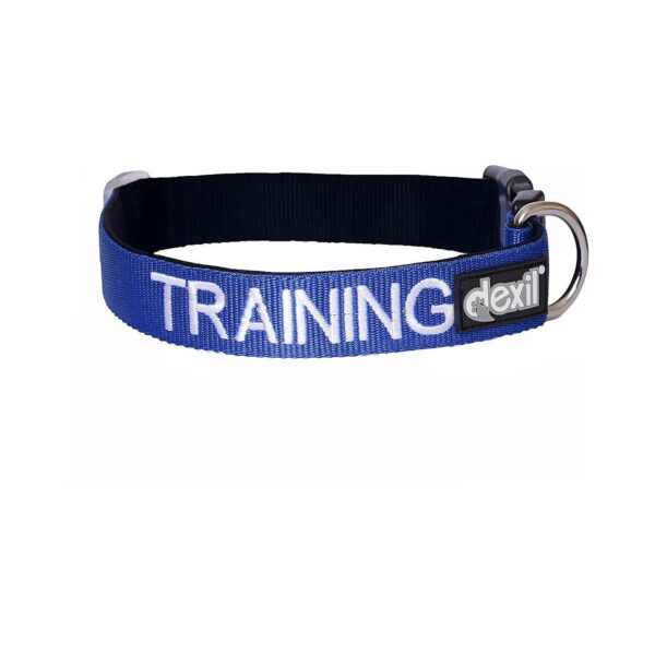 Blue Color Coded Adjustable Wide Nylon Dog Collar Prevents Accidents in Public