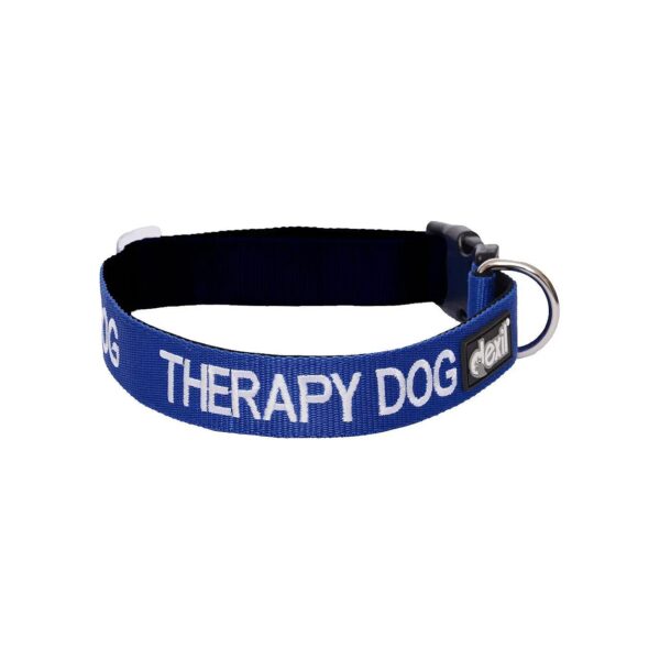 Blue Color Coded Neoprene Therapy Dog Collar with Prevents Accidents Wording for S-M Fits