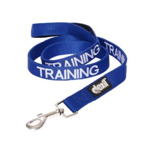 Blue Colour Coded Padded 6ft Lead for Dog Training and Walking