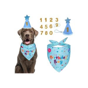 Blue Dog Birthday Party Bandana and Hat Set for Small Medium Large Dogs