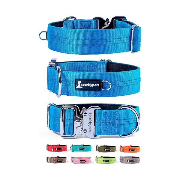 Blue Dog Collar for Large and Medium Dogs with High-Visibility Reflective Stripes