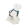 Blue Dog Harness with Padded Chest Plate and Extra Wide Comfort Zone