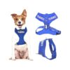 Blue Dog Training Harness with Front and Back D-Ring for Secure Walking