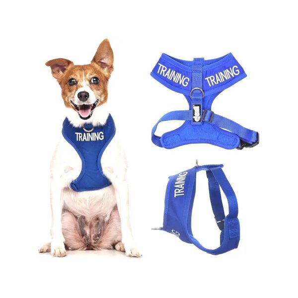 Blue Dog Training Harness with Front and Back D-Ring for Secure Walking