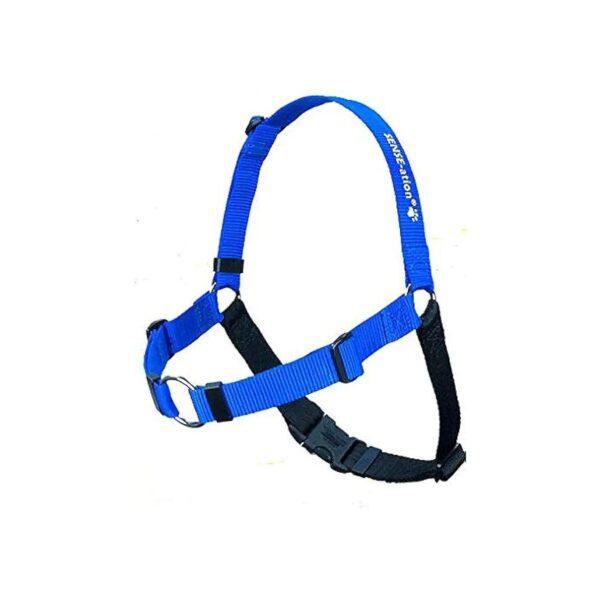 Blue Extra Large Nylon No Pull Dog Harness for Easy and Safe Training