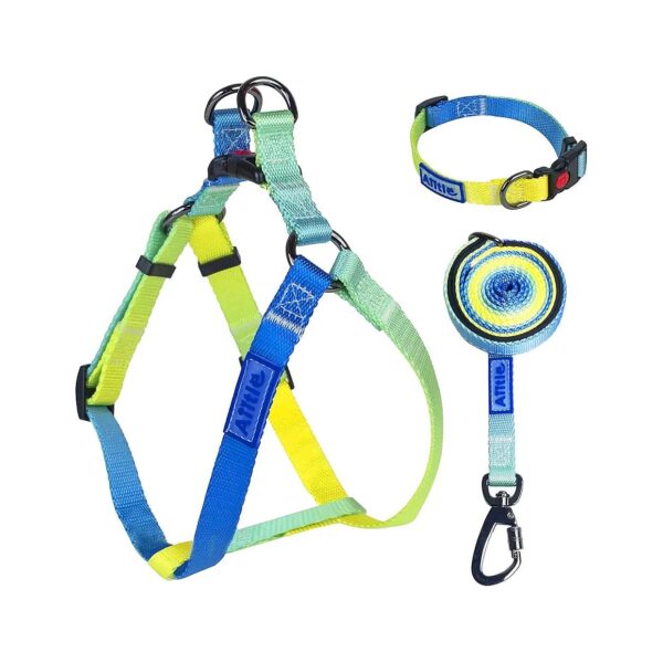 Blue Gradient XS AIITLE Step-In Dog Harness Collar Leash Set for Extra-Small Breed Dogs