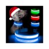 Blue LED Dog Collars for Visible Night Walking and Pet Safety