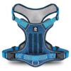 Blue Medium Dog Harness with Two Leash Clips and Easy Control Handle for Active Dogs