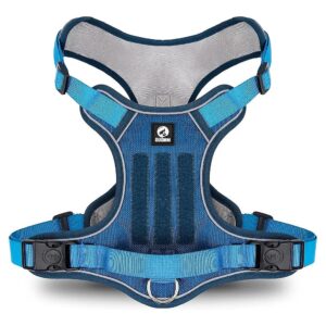 Blue Medium Dog Harness with Two Leash Clips and Easy Control Handle for Active Dogs