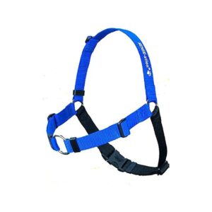 Blue Medium-Large Wide Nylon Dog Harness for Easy and Effective No-Pull Training