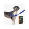 Blue Medium Size No Pull Dog Harness and Leash Combo with Customized Comfort and Control