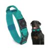 Blue Medium and Large Dog AirTag Compatible Waterproof GPS Dog Collar