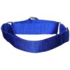 Blue Nylon Dog Collar with Martingale Design for Dogs with Necks 18 to 26 inches