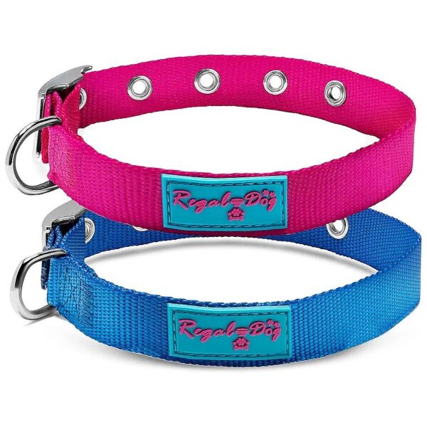 Blue Nylon Dog Collar with Metal Buckle for Male Dogs in Medium Size